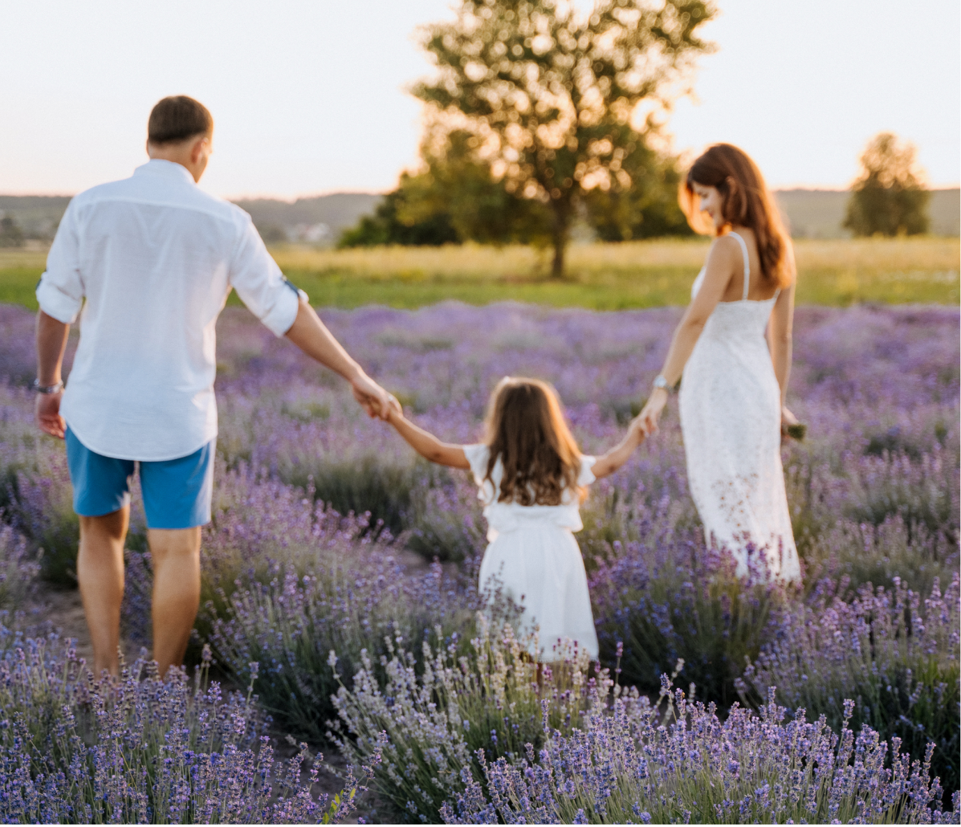 Family of three holding hands in a lavender field